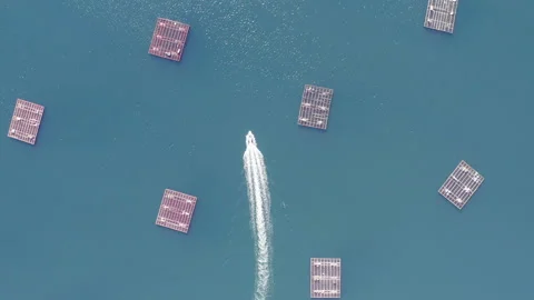 Aerial view of boat sailing between mussels farming Stock Footage 238387238