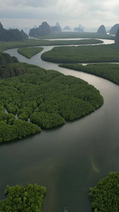 Aerial View of a Boat Sailing a River Through Mangrove Forest in Phang Nga, Stock Footage 335253176