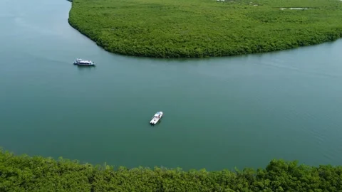 Aerial view of boats navigating a river surrounded by lush green vegetation Stock Footage 317952737