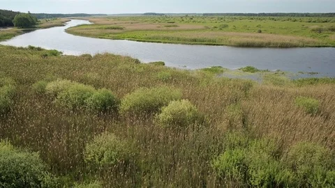 Aerial view of bog lands near the river valley Stock Footage