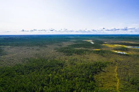 Aerial view of bogs, forests in green, yellow colors and deep blue lakes Stockfoto's