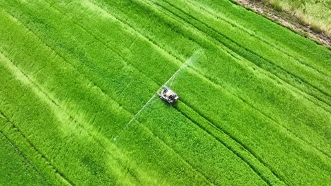Aerial view of a boom sprayer spraying young rice plants. Stockbeeldmateriaal 339403012