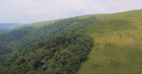 Aerial view border between equator forest and mountain in Africa Gabon 2015 Stock Footage 82355121