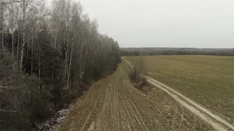 Aerial view  of border between forest and field and by road in country side 動画素材 56248788
