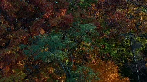 Aerial view of border Canada USA bridge - Lewiston Queenston, fall colors Stock Footage 219440694