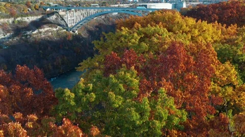 Aerial view of border Canada USA bridge - Lewiston Queenston spectacular autumn Stock Footage 219440746