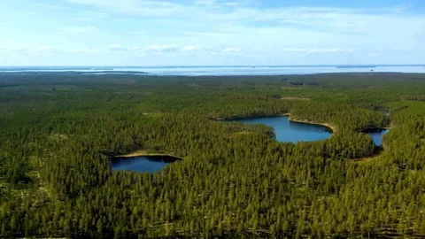 Aerial View of Boreal Forest with Three Small Lakes Stock Footage 308632931
