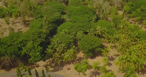 Aerial view of Borobudur temple in Java Stock Footage 141669120