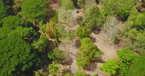 Aerial view of Borobudur temple in Java Stock Footage 141669145