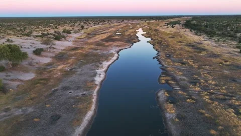 Aerial view of the Boteti river, Botswana, Africa. Stock Footage 232413469