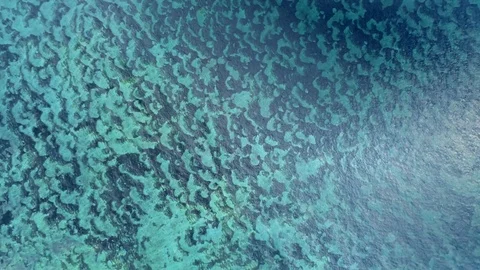 Aerial view of the bottom relief under a crystal clear ocean Stock Footage 114160147