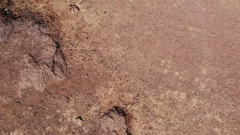 Aerial View Bottom to Top Over Ancient Chapora Fort in North Goa, India 스톡 동영상 130492067