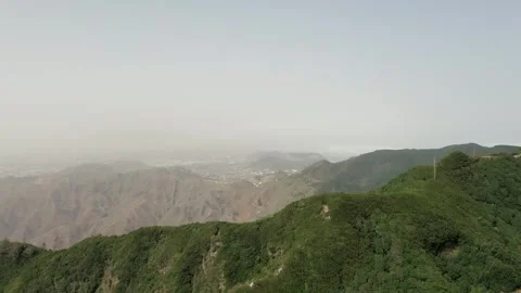 Aerial View of Boundary Between Laurel Forest and Dry Terrain Stock Footage 330271705