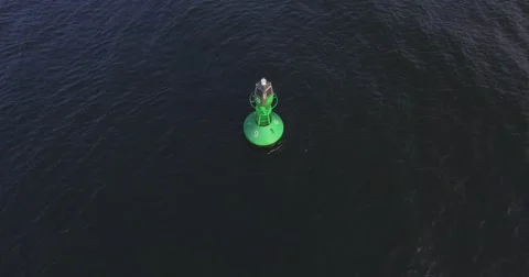 Aerial view of an bouy in the ocean Stock Footage 58761403