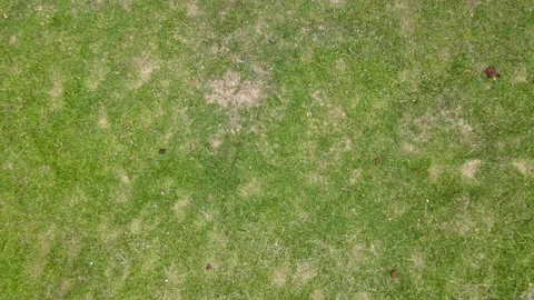 Aerial view of A boy is playing a drone on the lawn in the house area 库存影片 132093623
