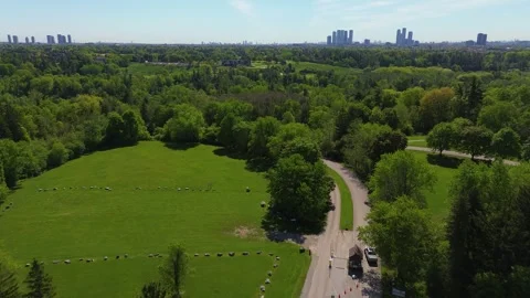Aerial View of Boyd Conservation Park in Vaughan Ontario 스톡 동영상 335797975
