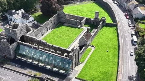 Aerial view of Boyle Abbey Stock Footage 346005718