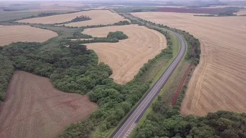 Aerial view of BR 373 road and farm field cultivated with soybean in rural area  Stock Footage 147339112