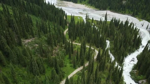Aerial View of Braided Glacial River Winding Through Deep Alpine Valley Video stock 332010374