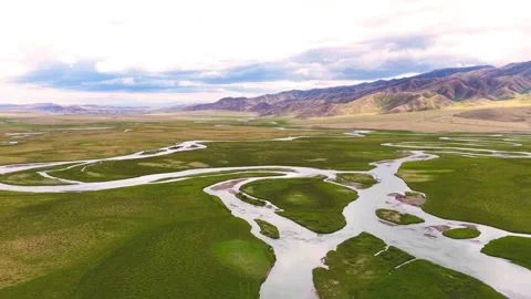 Aerial View of Braided River Flowing Through Green Grassland and Mountains Stock Footage 346576423