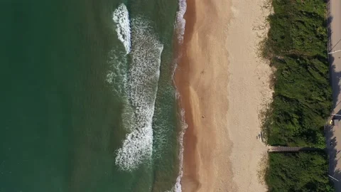 Aerial view of Brava beach with restinga preservation area, Itajaí, Brazil Stock Footage 158573935