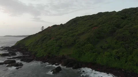 Aerial View | Breaking of Waves at the Forrest Coastline Indian Ocean Stock Footage 140723084