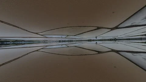 Aerial view of bridge crossing over river with surrounding muddy water landscape Vidéo 345398740