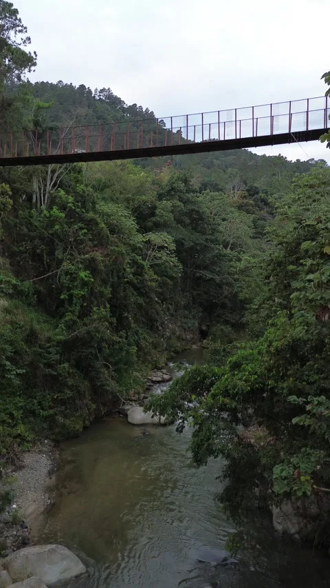 Aerial view of a bridge over the river Video stock 304460305