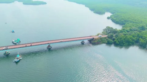 Aerial View of Bridge Over Tranquil Mangrove Waters Stock Footage 307903079