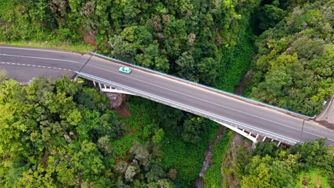 Aerial view of Bridge in Rain Forest, La Palma Stock Footage 335804997
