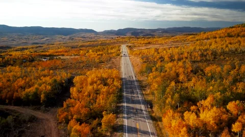 Aerial view of bright fall foliage along scenic by way route 39 in northern.. Stock Footage 279526194