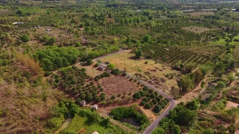 Aerial view of a brown plowed field and winding road in a tropical landscape Stock Footage 334859445