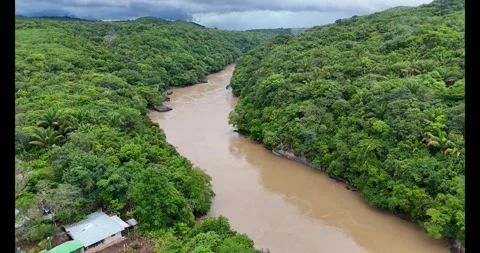 Aerial View of Brown River Flowing Through Lush Green Forest Stock Footage 336563623