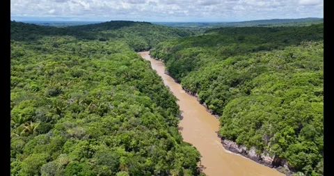 Aerial View of the Brown River Surrounded by Lush Green Forest Stock-Footage 336562305