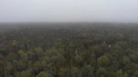 Aerial view of the Bruce Peninsula Stock Footage 143211726