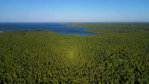 Aerial View of Bruce Peninsula Forest and Coastline Stock Footage 339875859