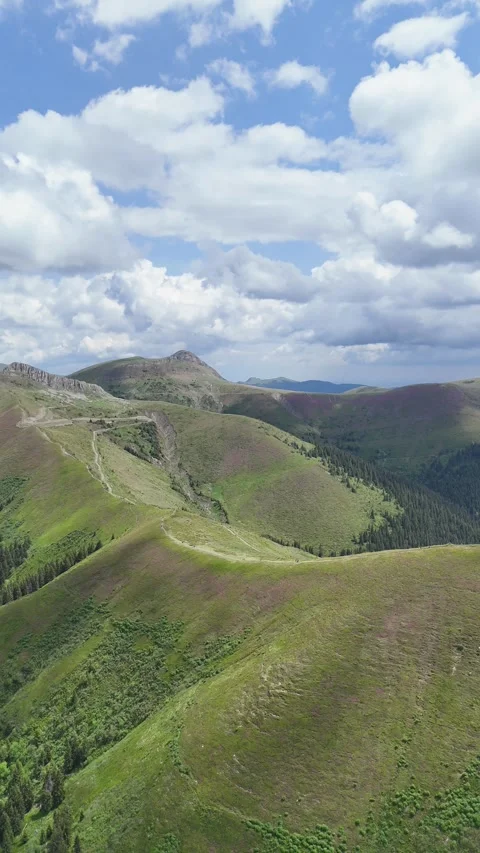 Aerial View of Bucegi Mountain Peak Covered with Alpine Rhododendron Stock Footage 334117498