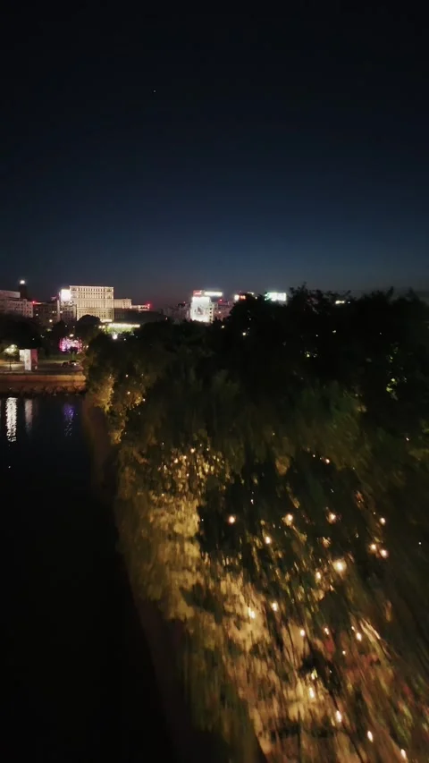 Aerial View of Bucharest downtown Stock Footage 308414909