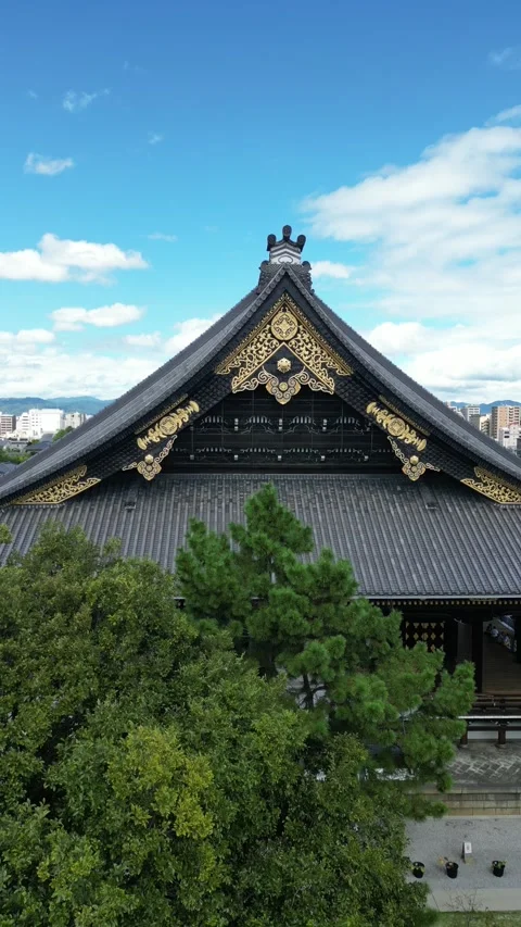 Aerial View of a Buddhist Monastery Stock Footage 296481182