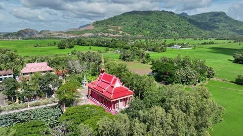 Aerial view of a Buddhist temple amid rice fields in An Giang, Vietnam Stockbeeldmateriaal 342957689