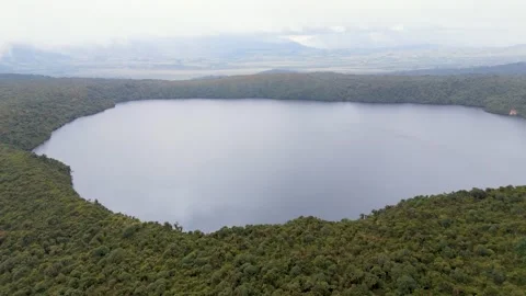 Aerial view of Buey Lagoon surrounded by lush forests Stock Footage 330760002
