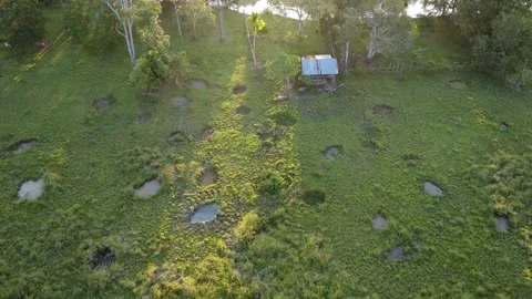Aerial view of the buffalo pen Stock Footage 247941992