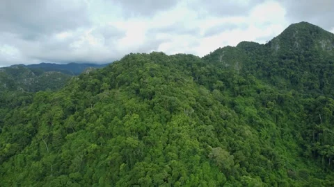Aerial view of Bukit Barisan Stock Footage 256921431
