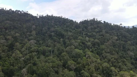 Aerial view of Bukit Perangin one of the forest reserve in Kuala Lipis Stock Footage 149112142