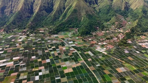 Aerial view of Bukit Selong patchwork fields in Sembalun, Indonesia. Stock-Footage 335207100