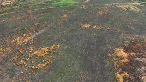 Aerial view of burned fields. 스톡 동영상 306137277