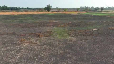Aerial view of burned fields. Stock Footage 306137411