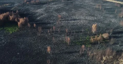 Aerial view of burned forest after wildfire The Concept of Environmental Di.. Video stock 327720704