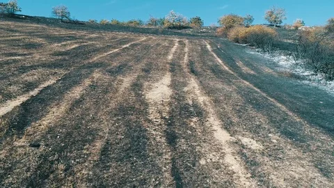 Aerial view of burned forest Stock Footage 87147364