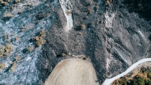 Aerial view of burned forest Stock Footage 87147371